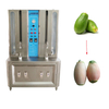 Pumpkin Watermelon Pineapple Peeler Vegetable Peeling Machine