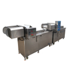 LVB-250 Carrot Salad Beans Onion Brocolli Potato French Fries Vegetable Fruit Blanching Machine