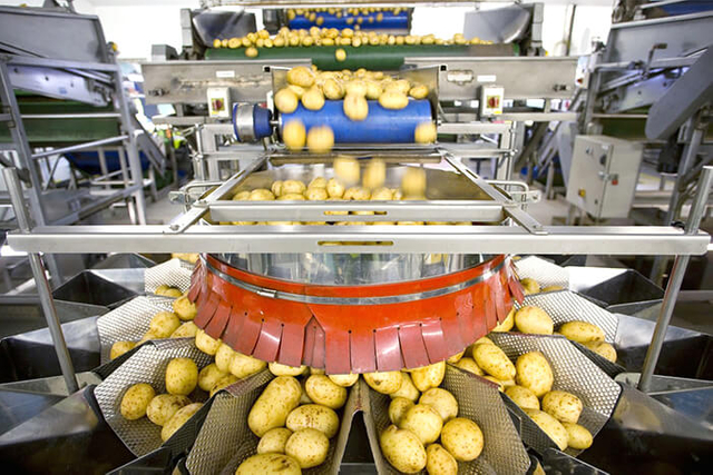 Potato Automatic Weighing And Packaging