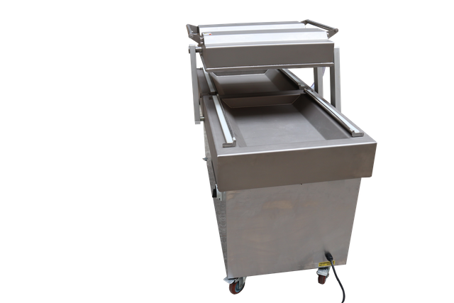 Double Chamber Vegetable Fruit Meat Vacuum Packing Machine