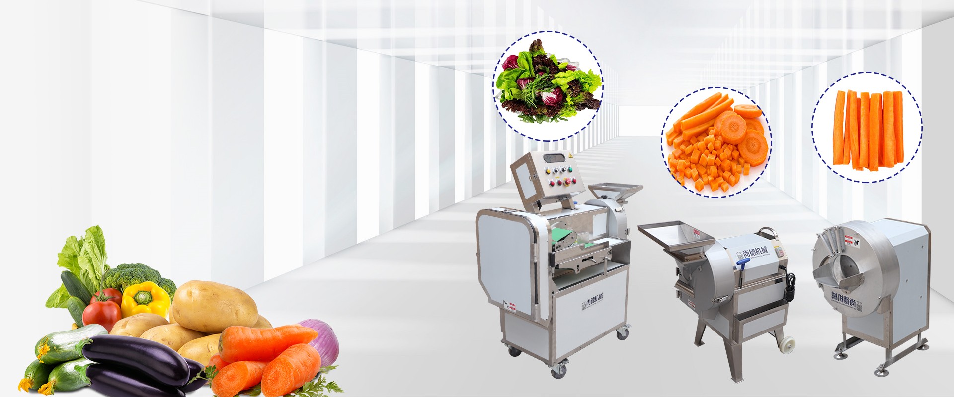 Roots Vegetable Processing Machine