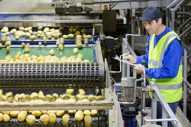 Potato Processing Workshop