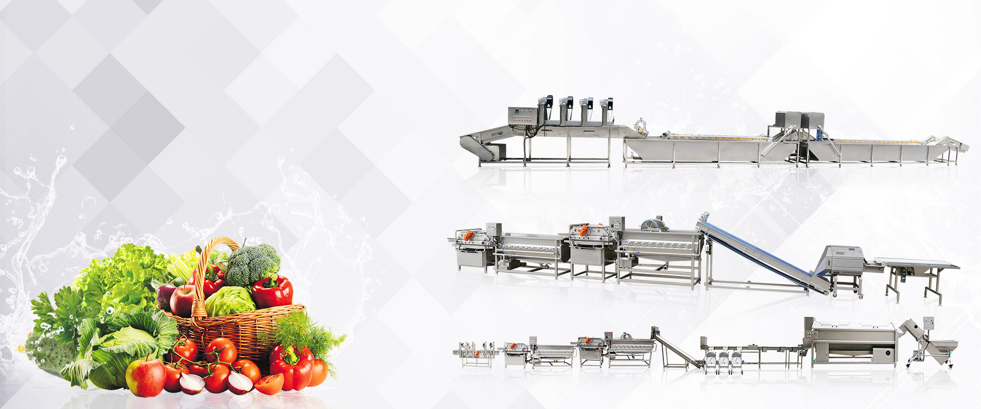 Fruit and Vegetable Processing Machine