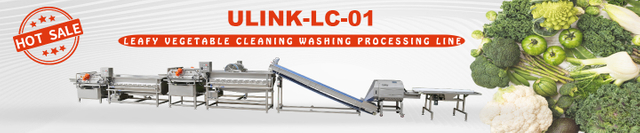 Roots Vegetable Fruit Washing Cleaning Processing Line