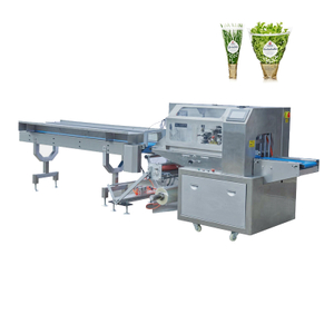  Pillow Type Automatic Packaging Machine